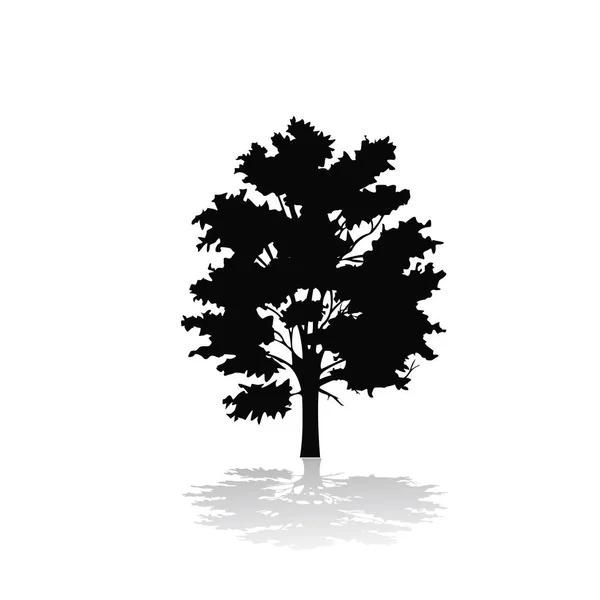 一棵树的阴影的轮廓 — 图库矢量图片