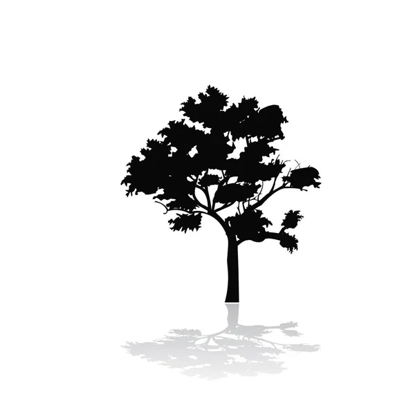 Silhouet van een boom met schaduw — Stockvector