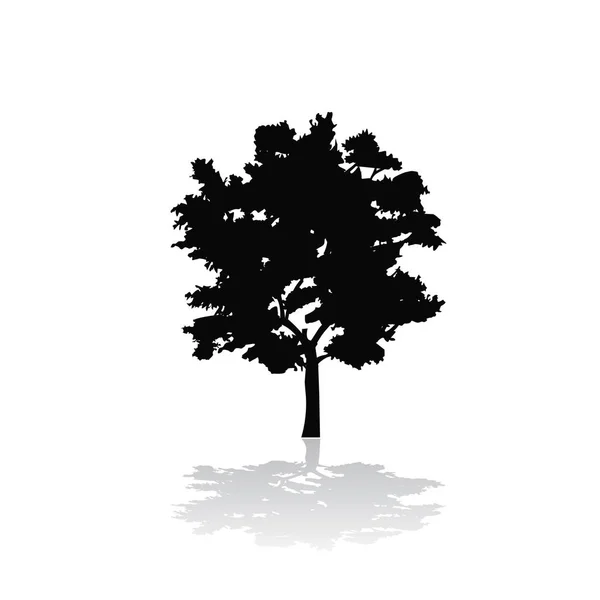 Silhouette of one tree with shadow — Stock Vector
