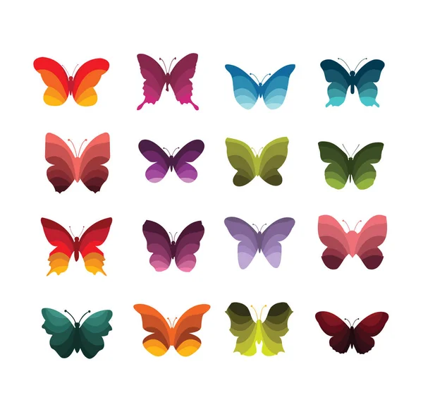 多彩 Batterflies 一套 — 图库矢量图片