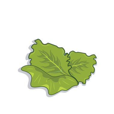 Yeşil marul yaprakları