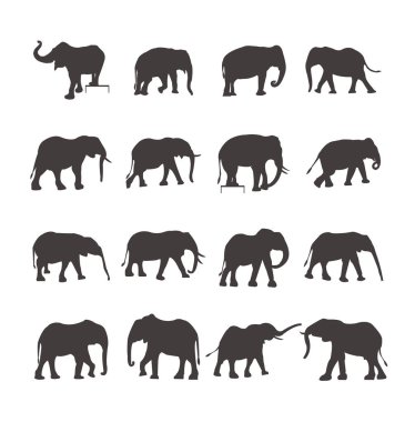 Gri elefant simgeler kümesi