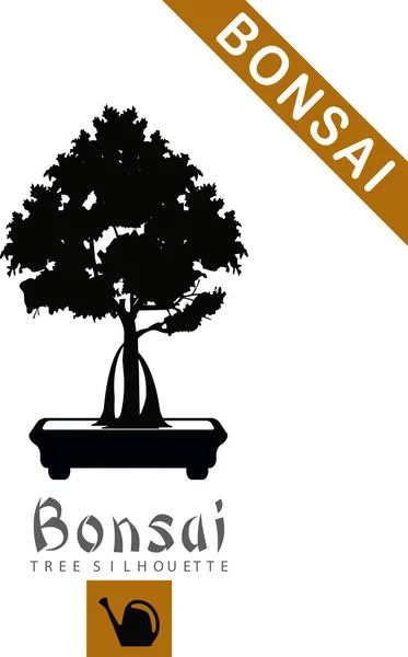 Sziluettjét a bonsai fa — Stock Vector