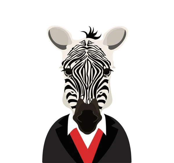 Zebra in de menselijke kleding — Stockvector