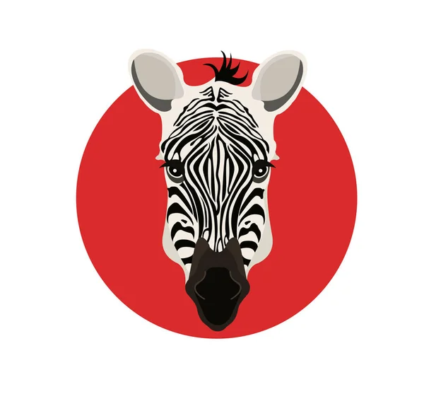 Zebra başına kırmızı daire — Stok Vektör