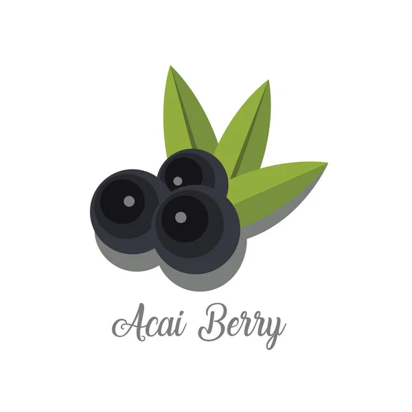 Acai Berry avec des feuilles — Image vectorielle
