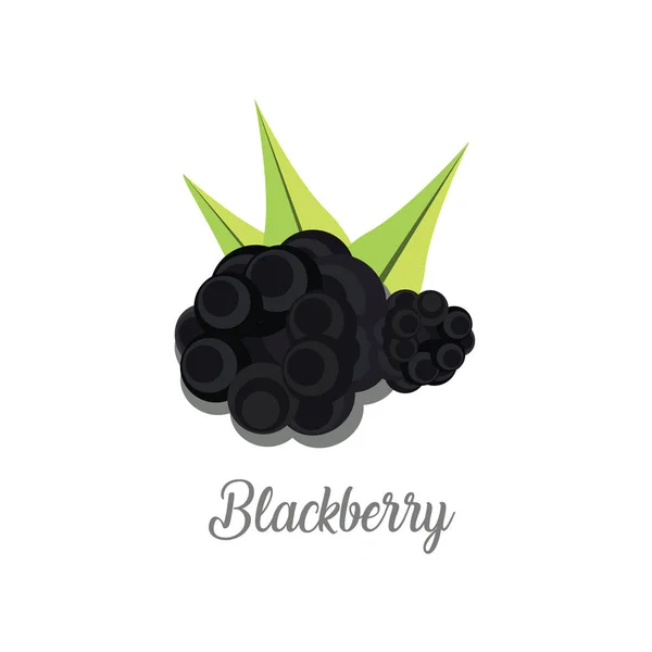 Moras con hojas en blanco — Vector de stock