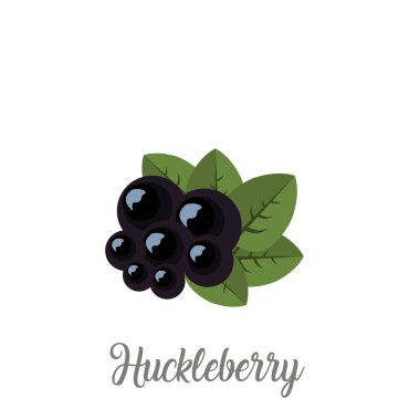 Yeşil yaprakları ile huckleberries