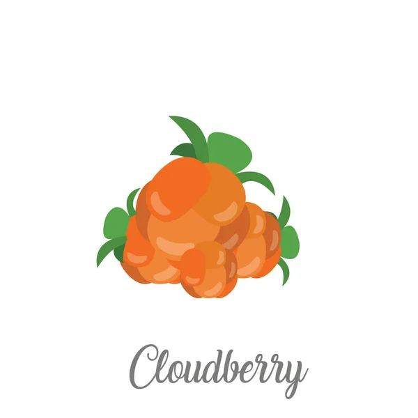 Cloudberries avec feuilles sur blanc — Image vectorielle