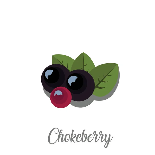 Chokeberries avec des feuilles sur blanc — Image vectorielle