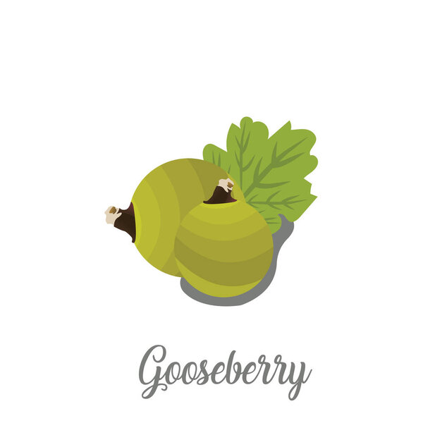 Gooseberries with leaves on white 