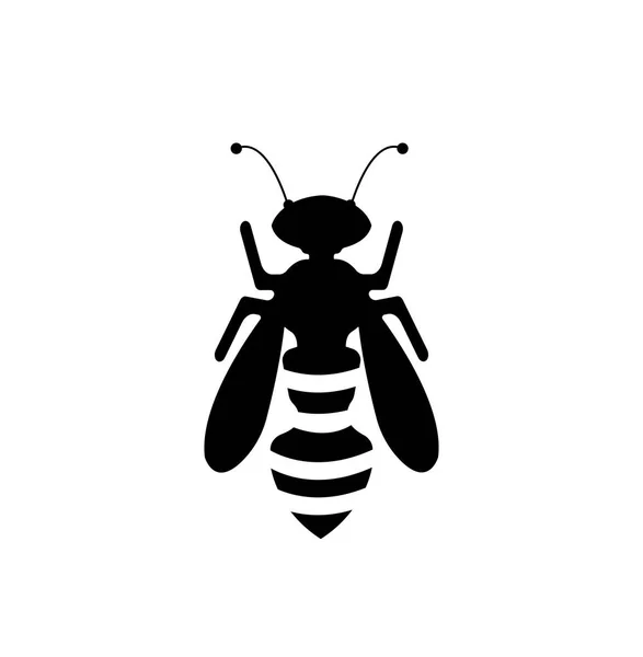 Abeille noire sur blanc — Image vectorielle