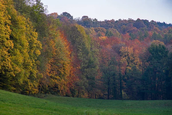 Höstens skogskant i kvällssolens sken. — Stockfoto