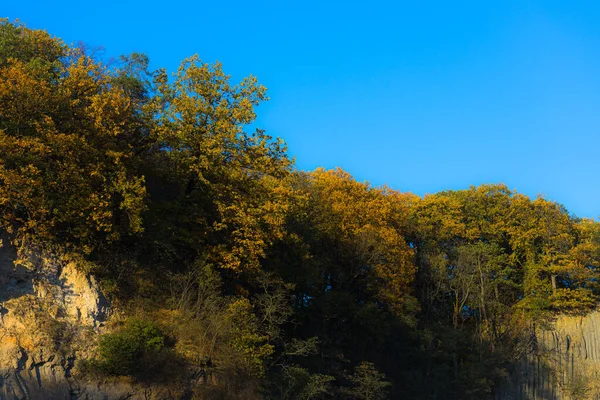 Bord rocheux avec forêt automnale dans la lumière du soir . — Photo