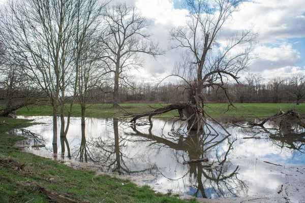 Povodňová pláň v zimě bez sněhu. Rybník na loukách. — Stock fotografie