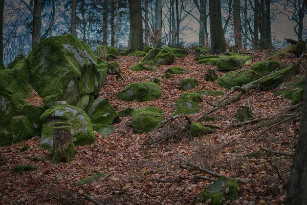 Colina rochosa em uma floresta assombrada à noite . — Fotografia de Stock