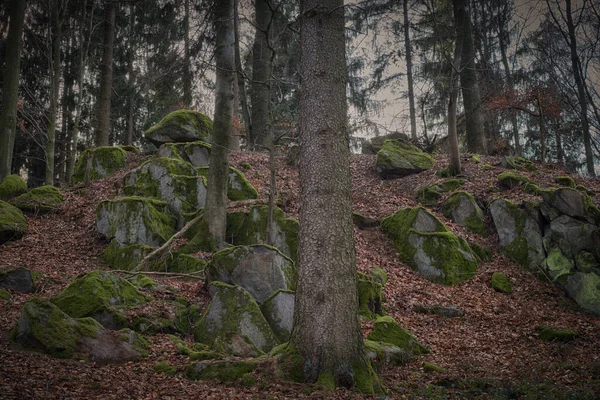 Rochers sur une colline dans une forêt hantée . — Photo