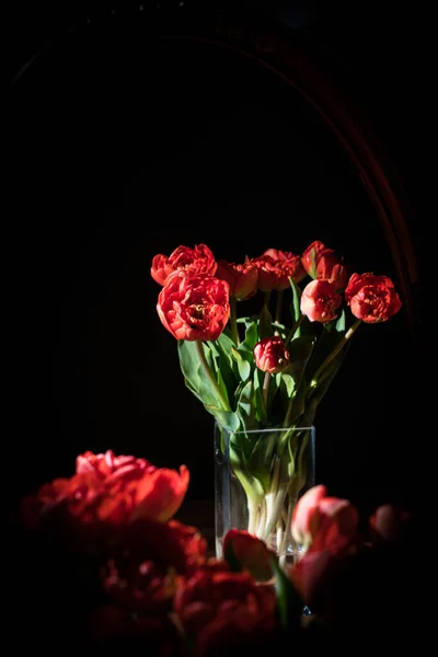 A tulipánok csendélete egy vázában a tükör előtt.. — Stock Fotó