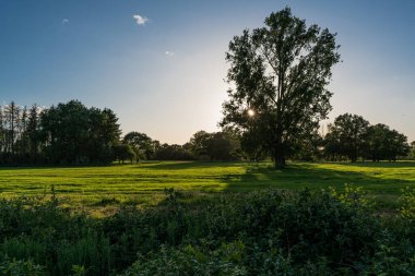 Batan güneşin ışığına karşı geniş bir çayırlık ve taşkın ovası manzarası. Sıcak renkler ve bir Mayıs akşamının uzun gölgeleri.