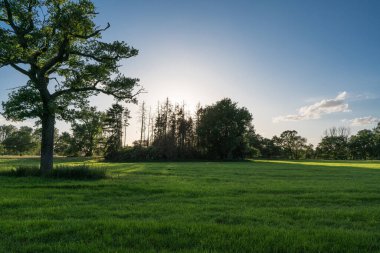 Sel ovasının çayırları ve ağaçları güzel bir mayıs gününden sonra gölge ve akşam ışığında yıkanır..