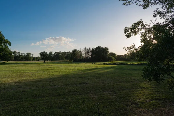 Batan güneşin ışığına karşı geniş bir sel ovası manzarası..