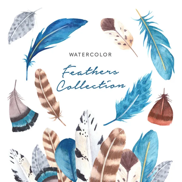 Hand drawn watercolor vibrant feathers collection