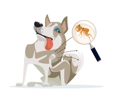  Köpek karakteri kapalı pire çizikler. Vektör düz çizgi film illüstrasyon