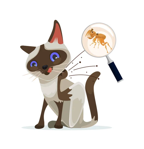 Cat character scratches fleas off. Vector flat cartoon illustration — Stock Vector