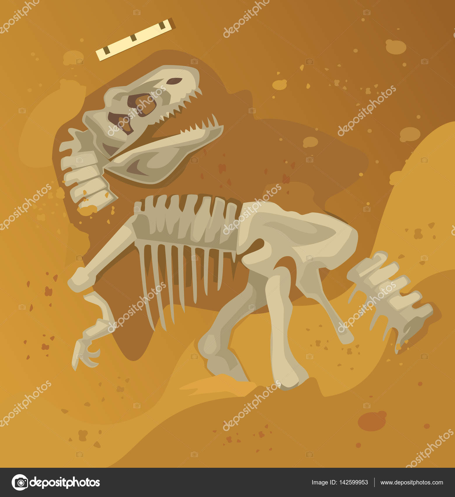 Fóssil de esqueleto de dinossauro antigo. Ilustração de desenho animado  plano vetorial imagem vetorial de prettyvectors© 142599953
