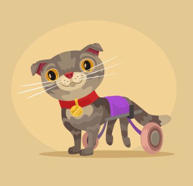 Engelli kedi karakter tekerlekli sandalyede. Vektör düz çizgi film illüstrasyon