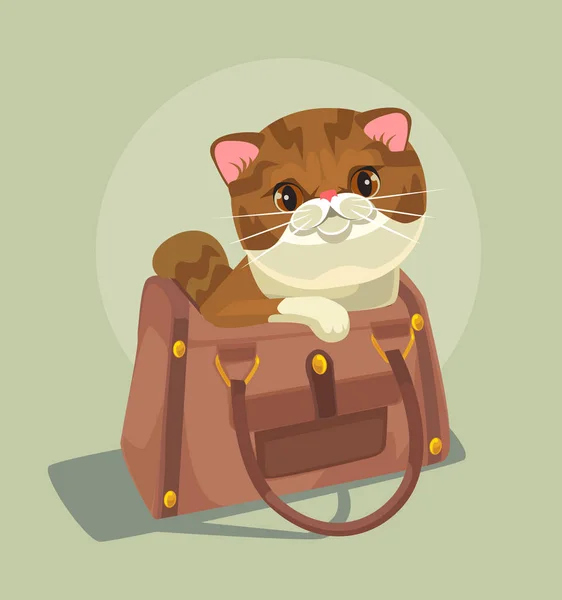 Small cat character sitting in lady bag. Vector flat cartoon illustration — Stock Vector