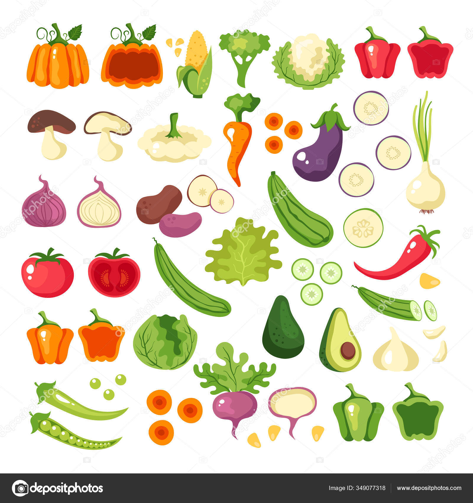 Conceito vegetal um conjunto plano de desenhos de vegetais de desenho  animado em uma ilustração vetorial de fundo branco