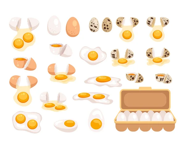 生菜片煮熟 炒鲜煎蛋卷 炒蛋分离集 矢量平面平面设计孤立的插图 — 图库矢量图片