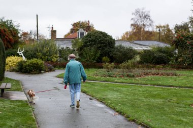 Sorumsuz sahibinin yolun kenarına bıraktığı bir yığın köpek kakası.
