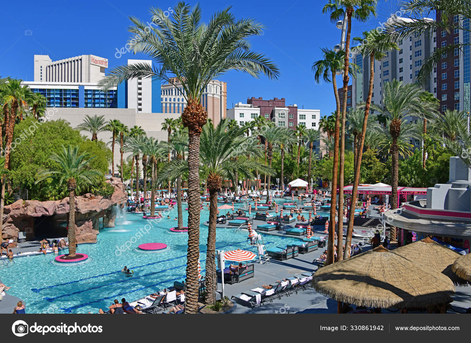 Las Vegas Usa Beach Club Pool Flamingo One Busiest Pools – Stock