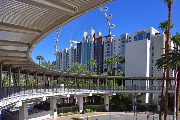 Las Vegas Usa Dit Ronde Gang Die Het Flamingo Hotel — Stockfoto