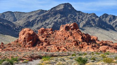 Nevada Usa 'daki Clark County' deki Fire State Park Vadisi. Dünyaca ünlü 40.000 dönümlük parlak kırmızı Aztek kumtaşı arazisiyle