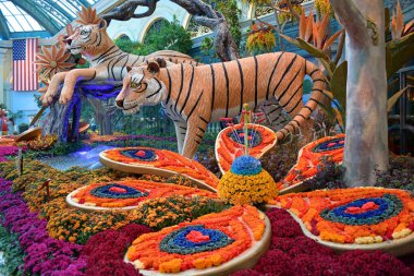 Bellagio Konservatuarı. Las Vegas NV ABD 09-25-18 Yılda beş kez, Bellagio Konservatuar takımı tam teşekküllü bir çiçek üretimi yapar
