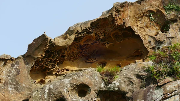 Costa Mar Cantábrico País Basco Erosão Nas Rochas Monte Jaizkibel — Fotografia de Stock