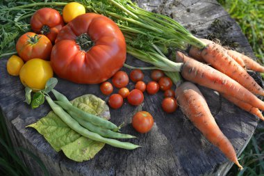  Taze mevsimlik sebzeler 