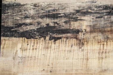 Ağaçlar vare türlerin ahşap doku