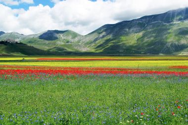 Castelluccio di Norcia İtalya