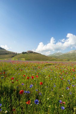 Castelluccio di Norcia İtalya