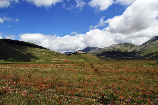 Castelluccio Norcia Italien — Stockfoto