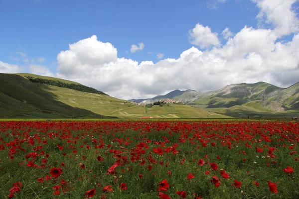 Castelluccio Norcia Italie — Photo