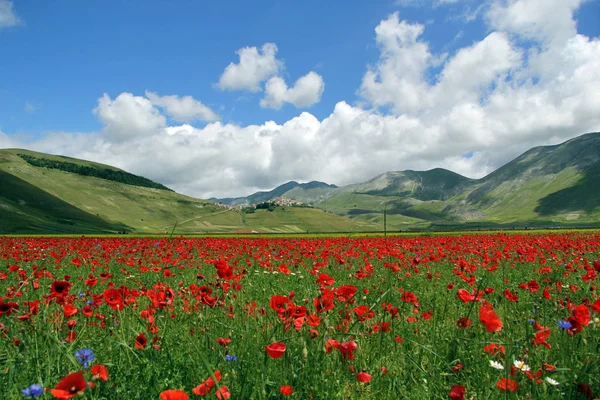 Castelluccio Norcia Talya — Stok fotoğraf