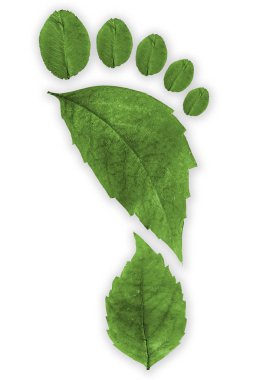 Ayak izi, Künye yaprakları oluşur.