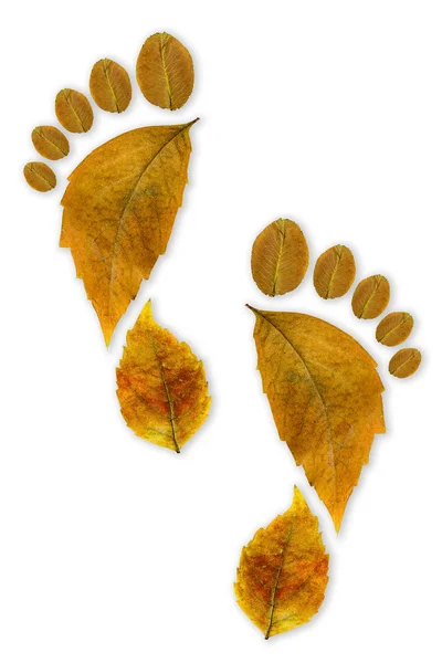 Footprint Imprint Composed Leaves — Stock Photo, Image