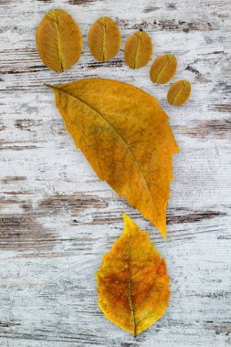 Ayak izi, Künye yaprakları oluşur.