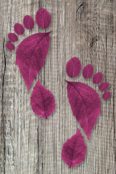 Fußabdruck Abdruck Aus Blättern — Stockfoto